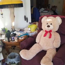 Big Cuddly Teddy Bear