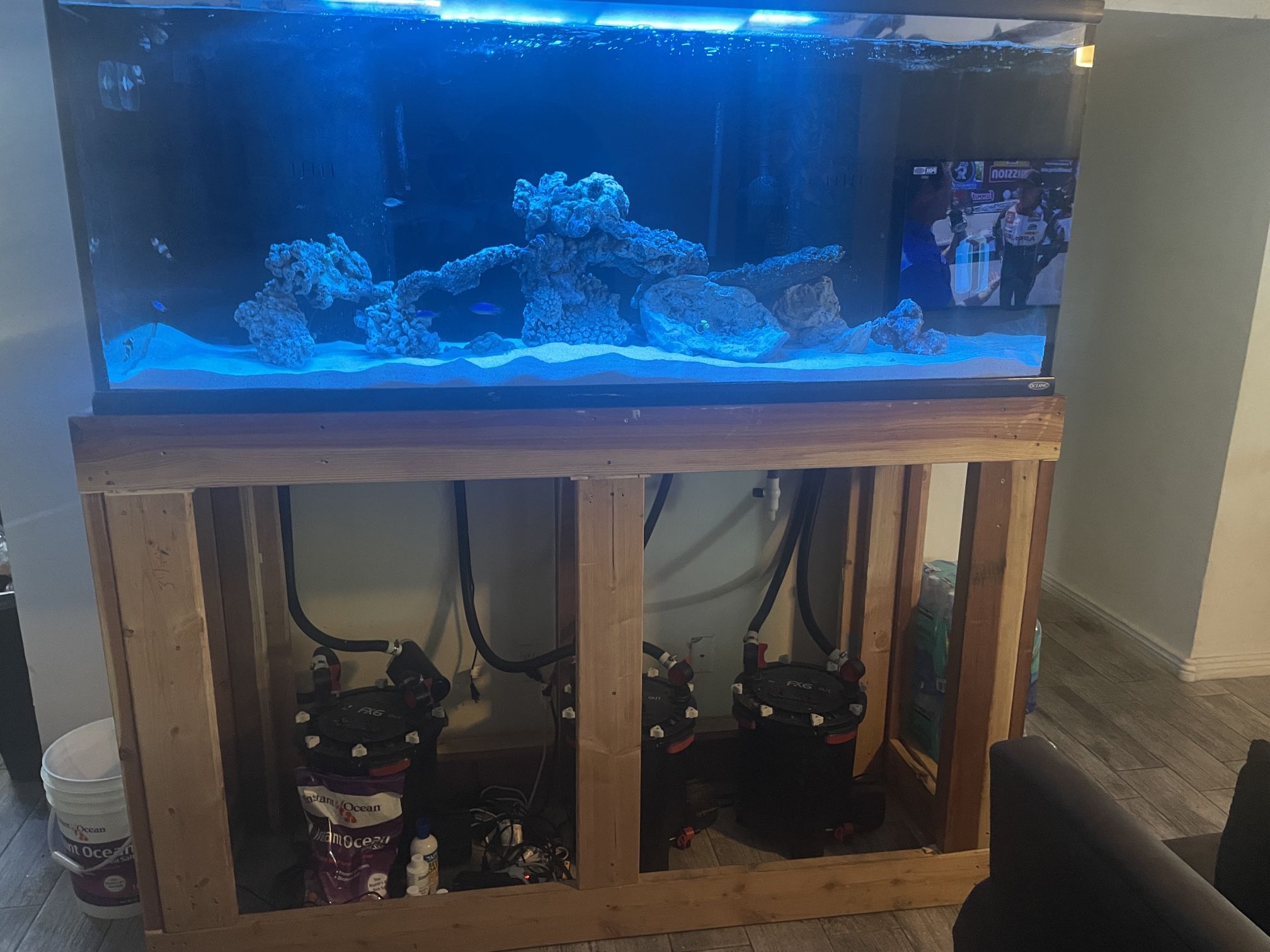 250 Gallon Salt Water Fish Tank