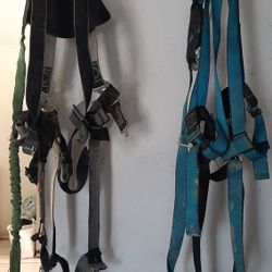 Safety Harness