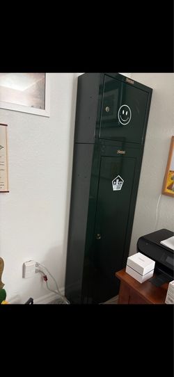 Sentinel safe