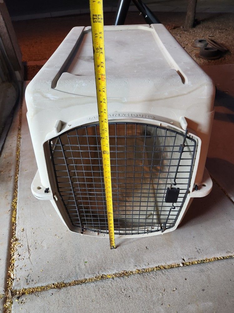Dog Kennel 