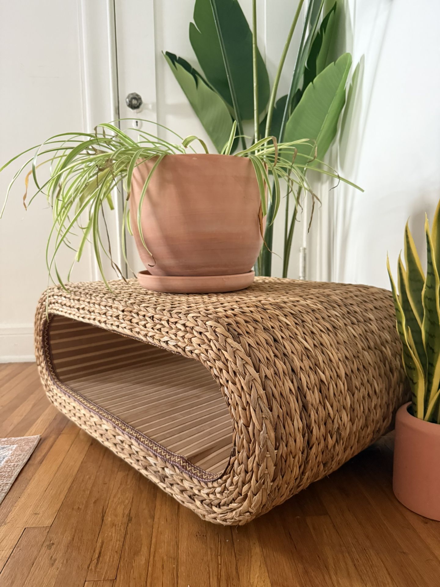 Banana Leaf Coffee Table