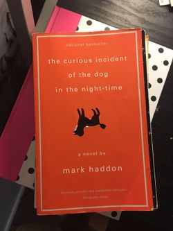 The curious incident of the dog in the night time