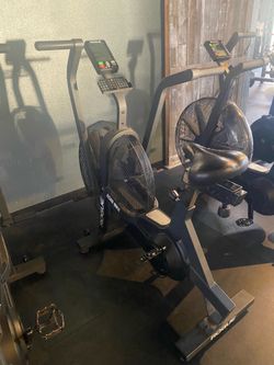 Rogue Echo Bike