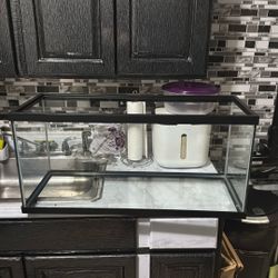 20 Gallon Tank 