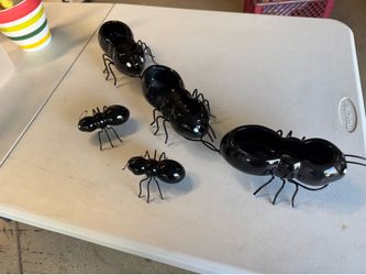 “Ants”