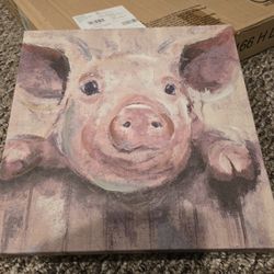 Pig Canvas Picture 12x12