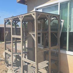 Catio