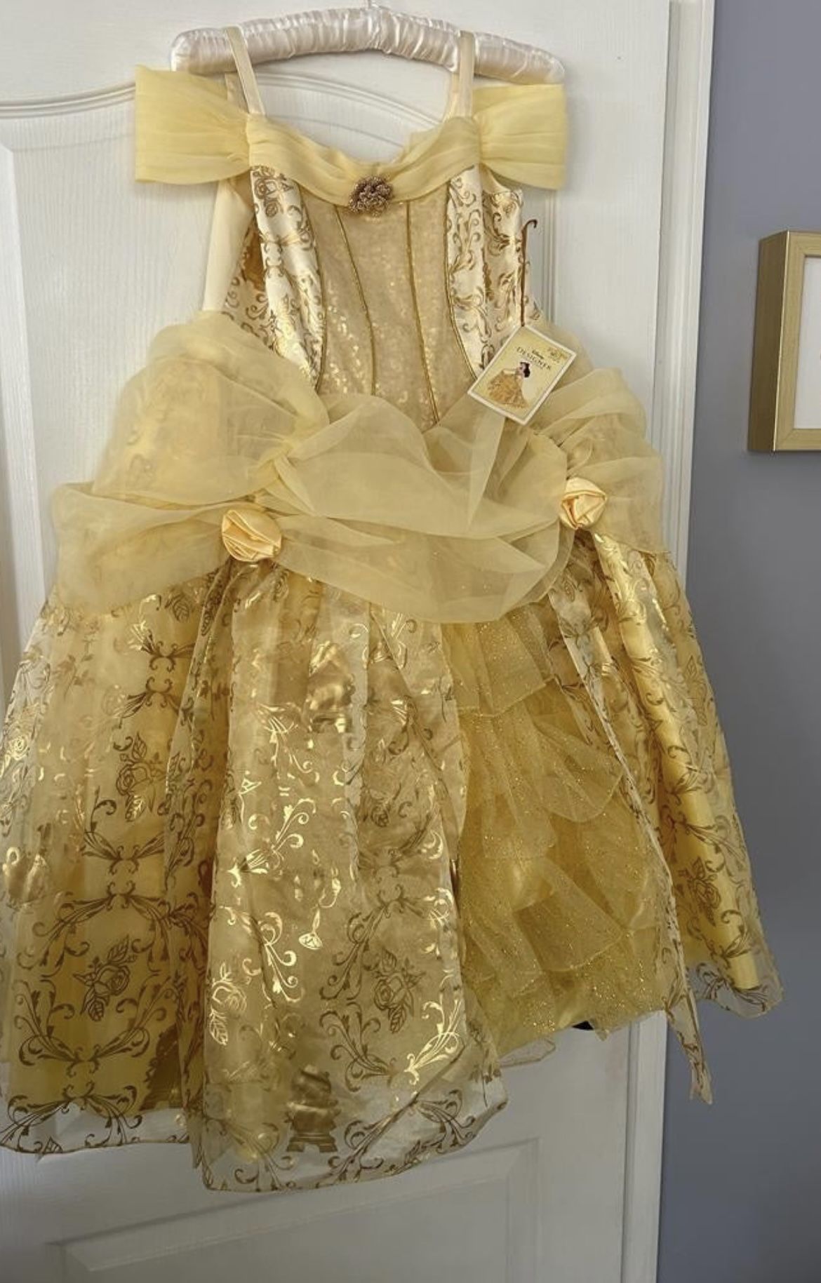 Bran New Princess Dress Special Edition