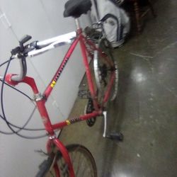 1982 Original Mountain Bike Schwinn Mesa Cruiser