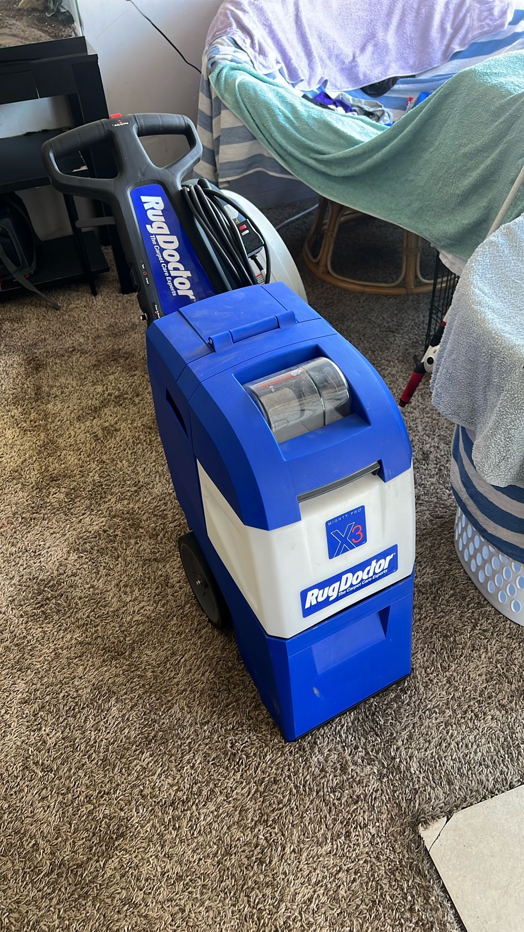 Carpet shampooer