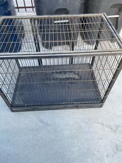 Metal dog cage with top door open