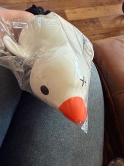 Duck squishy