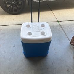Igloo cooler