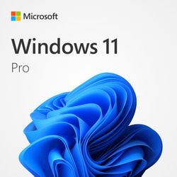 Windows 11 Professional 