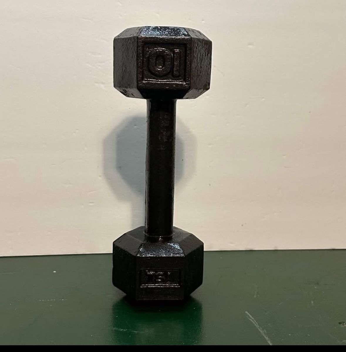 10 lb Dumbbell Single