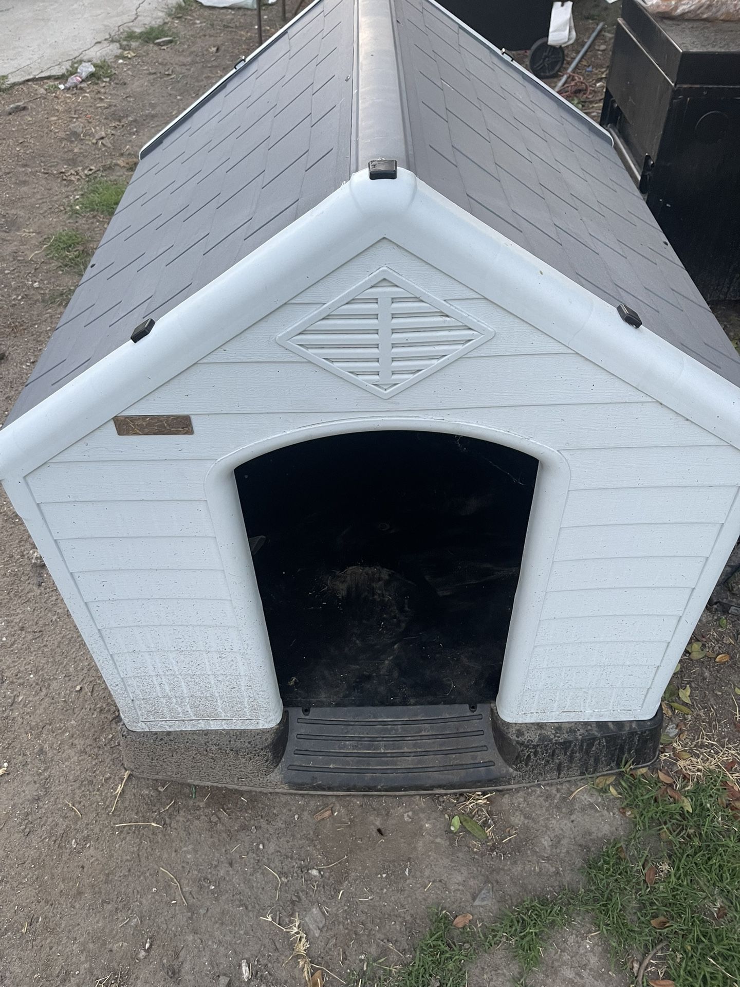 Dog House