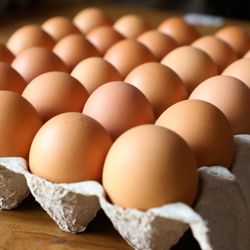 $5 Eggs Huevos 