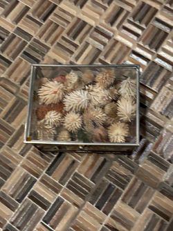 Glass and Metal Box with Dried Flowers