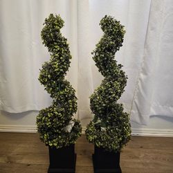 Lighted Topiary With Pot