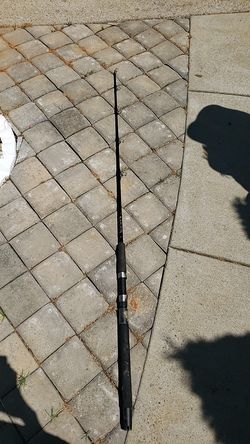 Power plus trophy class fishing rod