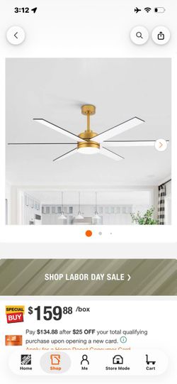 Modern Ceiling Fan with Light Kit