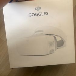 DJI Goggles