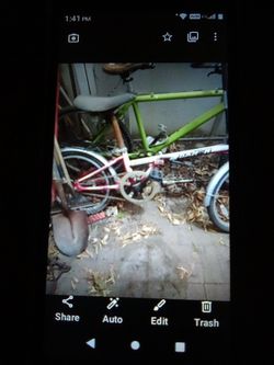 Bicycle