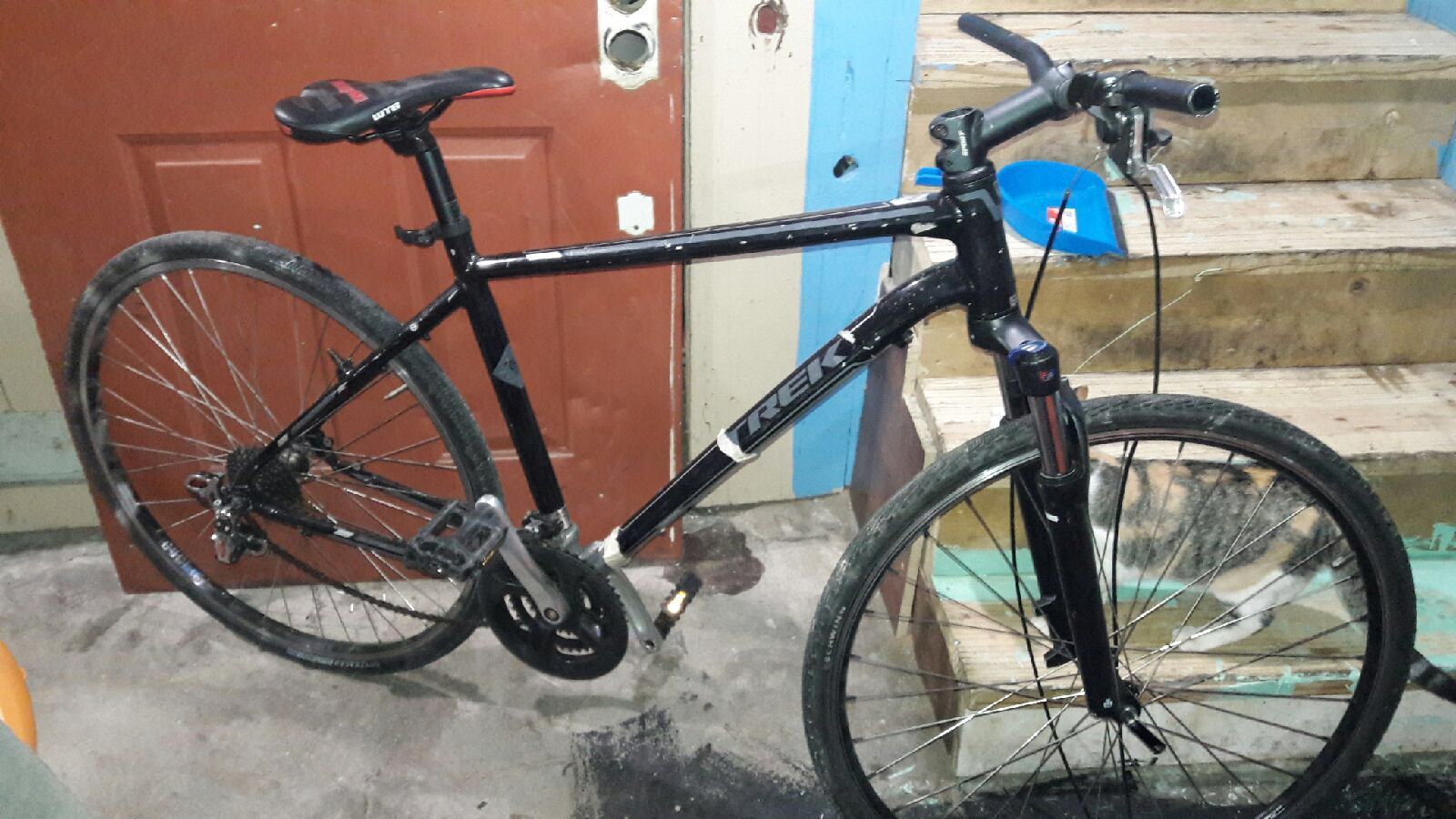 Trek 8.1 2025 ds price