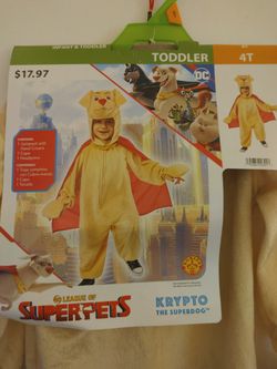 Toddler Halloween Costume
