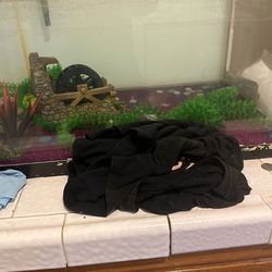 Fish Tank 50 Gallon