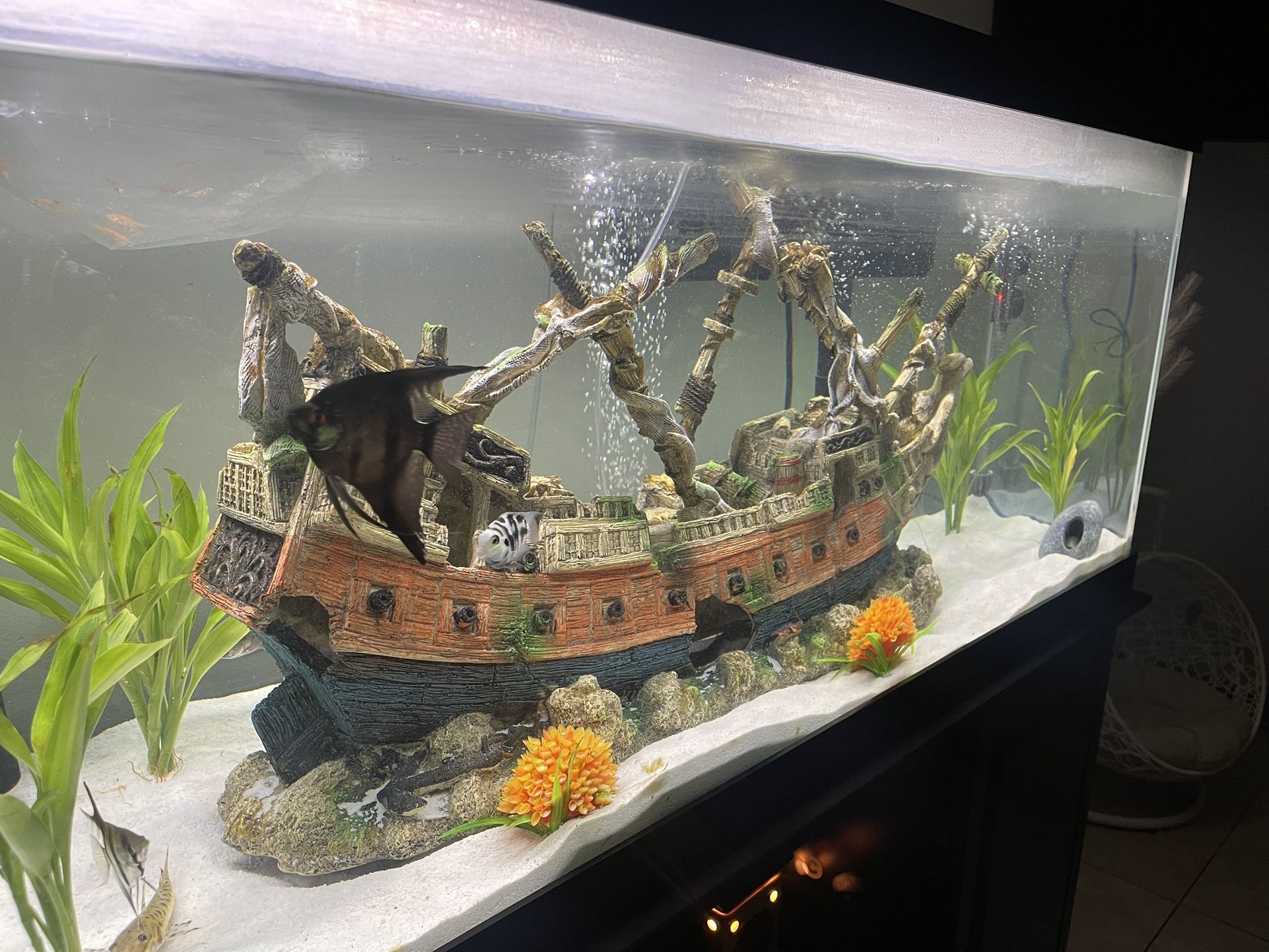 Perfect Condition Boat (Fish Tank Decoration)For Sale 