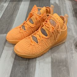 NEW Nike LeBron 18 - 9M