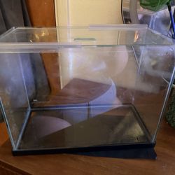 Small Fish Tank 