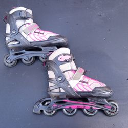 Adjustable Size Roller Blades In Good Condition 