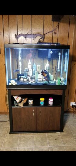 65 gallon aquarium