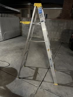Aluminum Werner 6ft Ladder