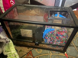 Reptile tank