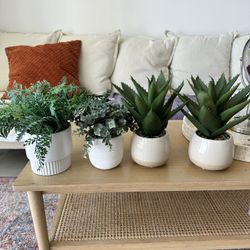 Fake House Plants