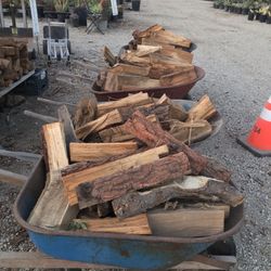 Eucalyptus Fire Wood 🪵
