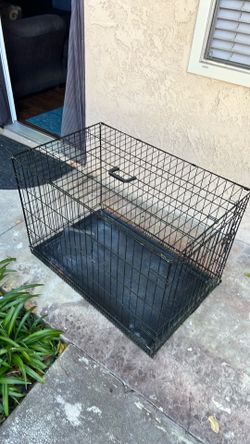 Large dog crate