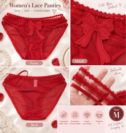 Brand New Red Mesh Lace Panties – Size M