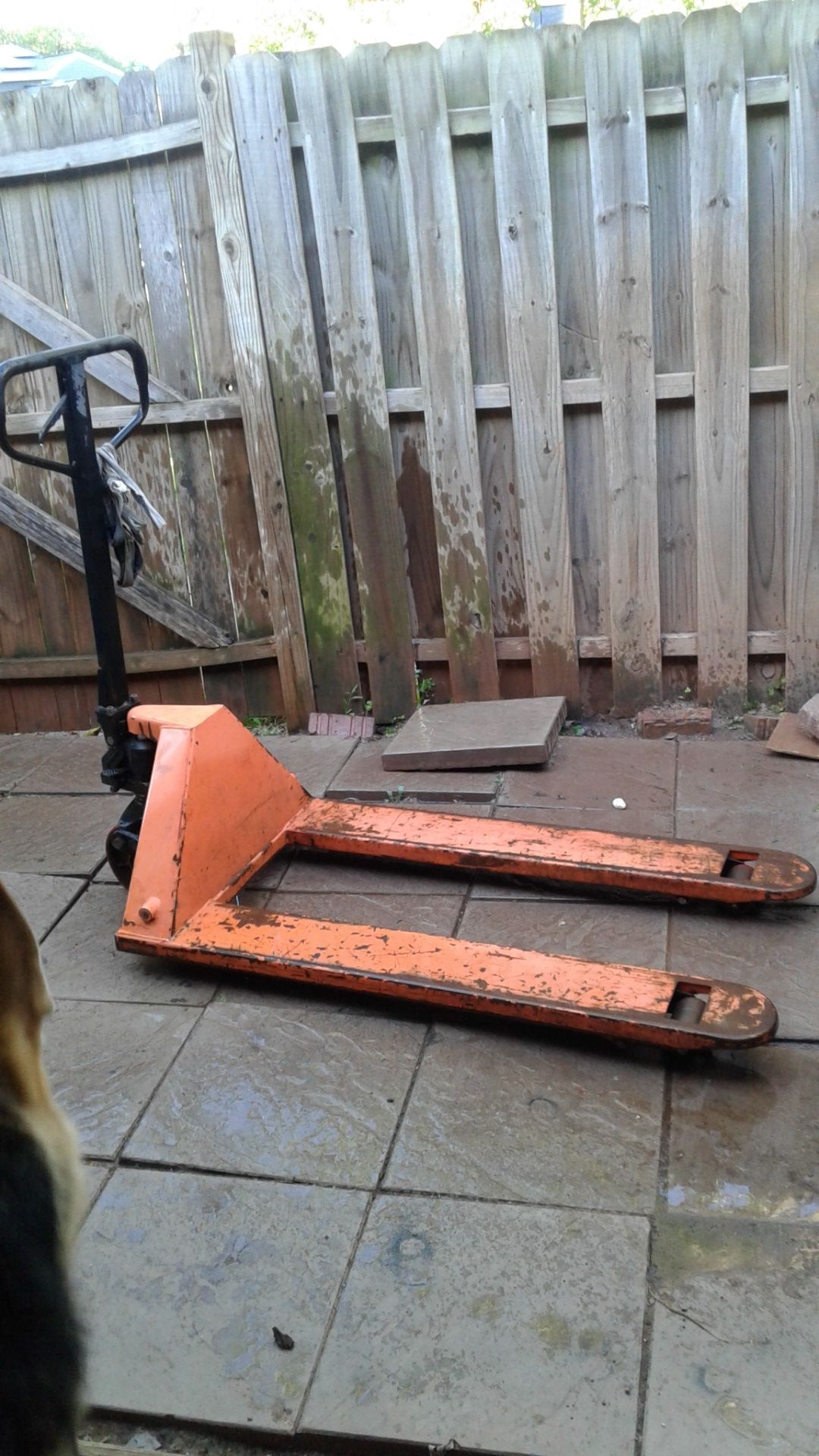 Used pallet jack