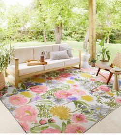 Brand new rug