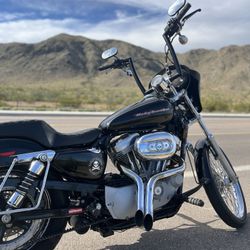 Harley Davidson Sportster 883 Custom