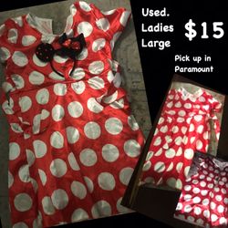 Minnie Mouse costume