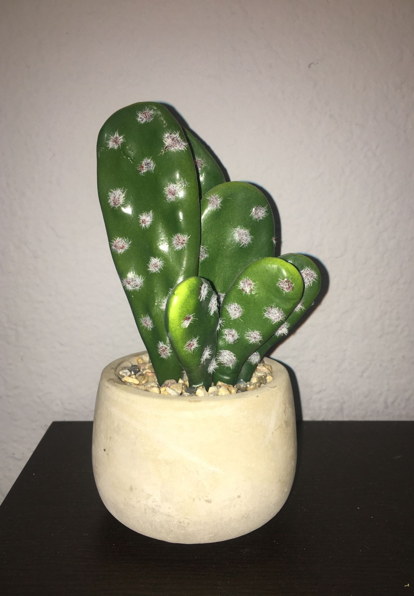 Fake Cactus