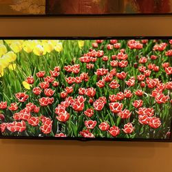 LG TV - 55 Inches 