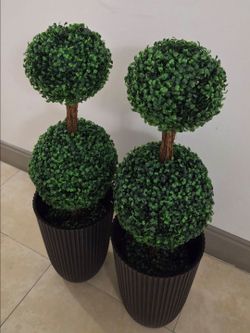 *** JUST REDUCED *** PAIR of 3ft Boxwood Topiaries in 14in Black Textured Planters (2 for $110) @ Lasting Creations