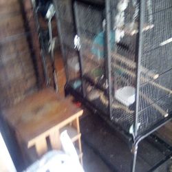 Bird Cage, Needs A Little Love
